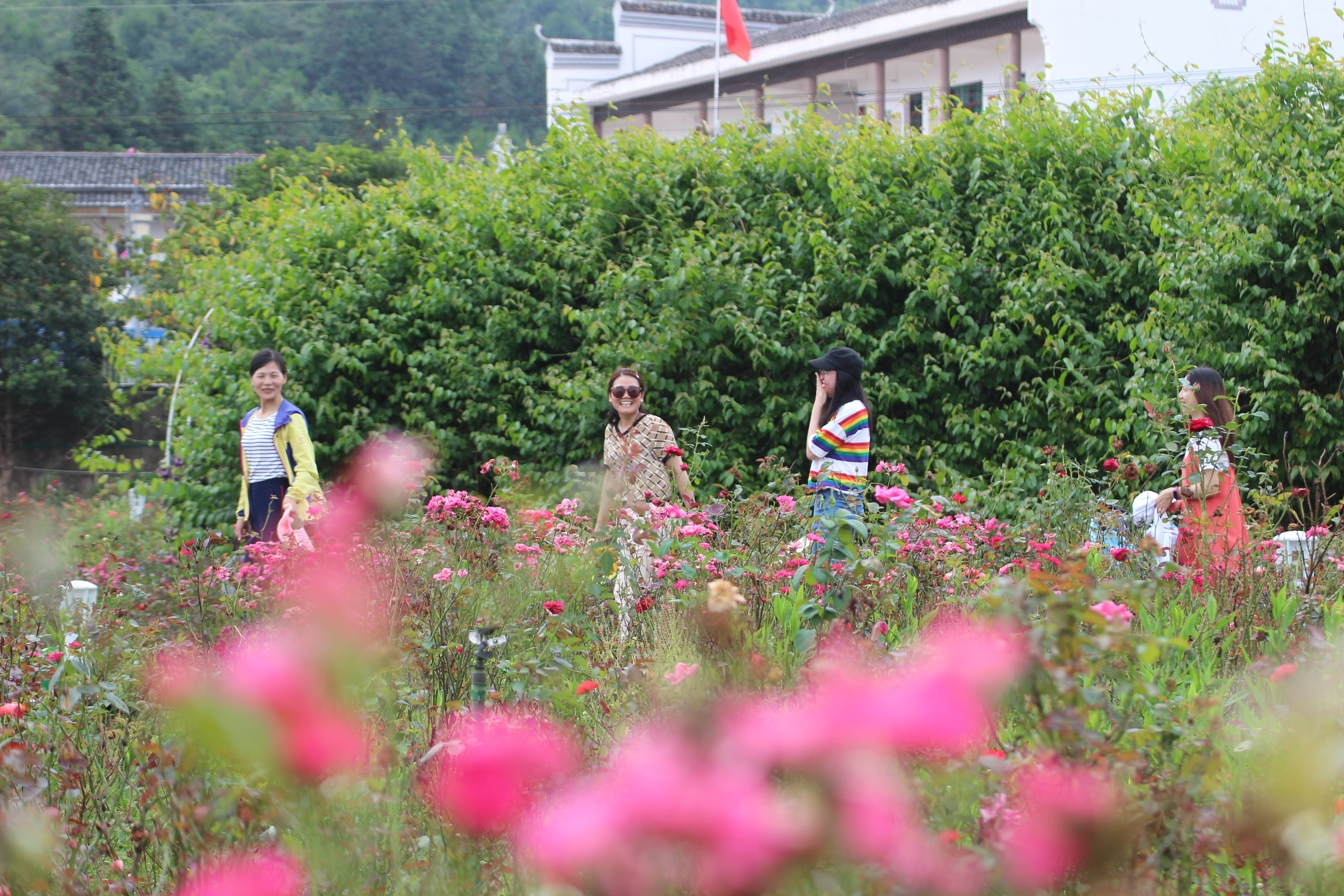 新港澳2025年免资料费大全