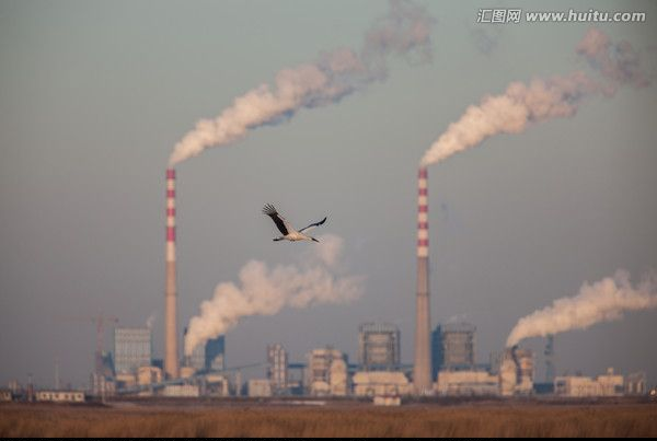 新港澳2025年免资料费大全